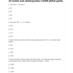 15 Contoh Soal Calistung Kelas 3 PDF