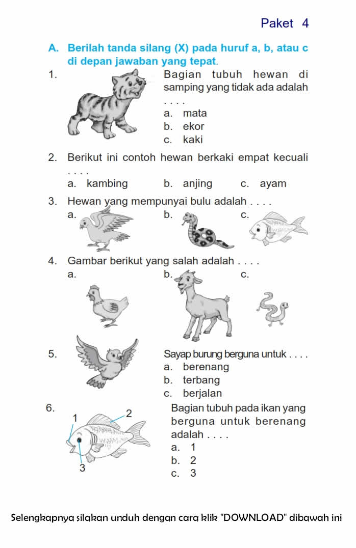 Menguasai Bahasa Indonesia Kelas 3 SD Semester 2 Panduan Lengkap