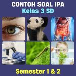 365 Contoh Soal IPA Kelas 3 SD MI Semester 1 2 Lengkap dengan
